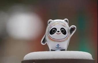 “冰墩墩”、、“雪容融”商标也抢手，，，，已被成功注册！！